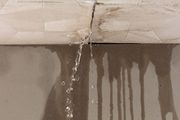 Professional Flood Damage Cleanup technician working in Argyle, MI